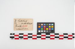 Etikett zu Bronzemehrkopfnadel (NHMW-PRAE-025309)